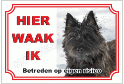 Cairn Terrier Zwart