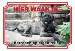 Cane Corso Zwart