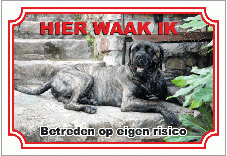 Cane Corso Zwart