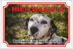 Dalmatische