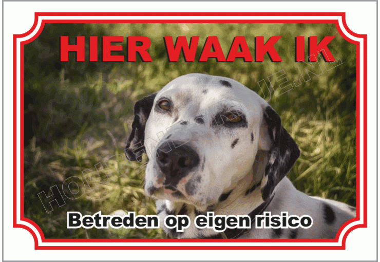 Dalmatische