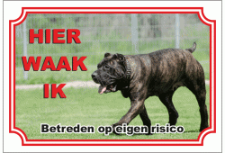 Dogo Canario