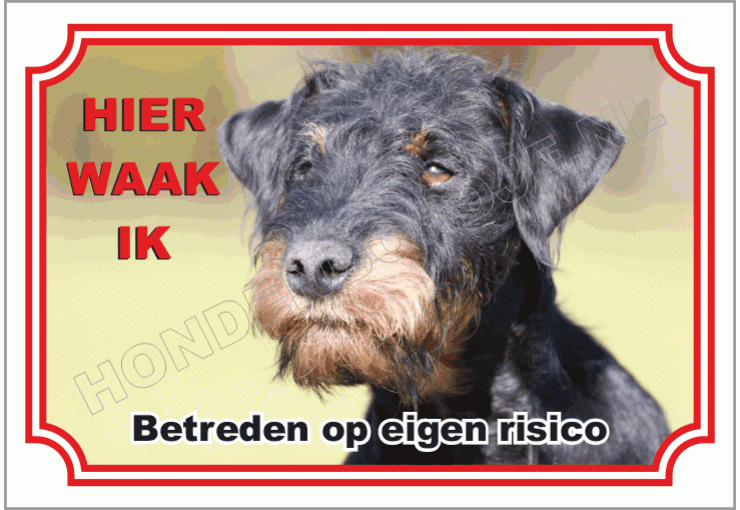 Duitse Jachtterrier