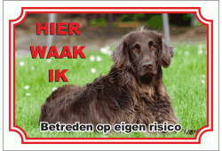 Duitse Staande