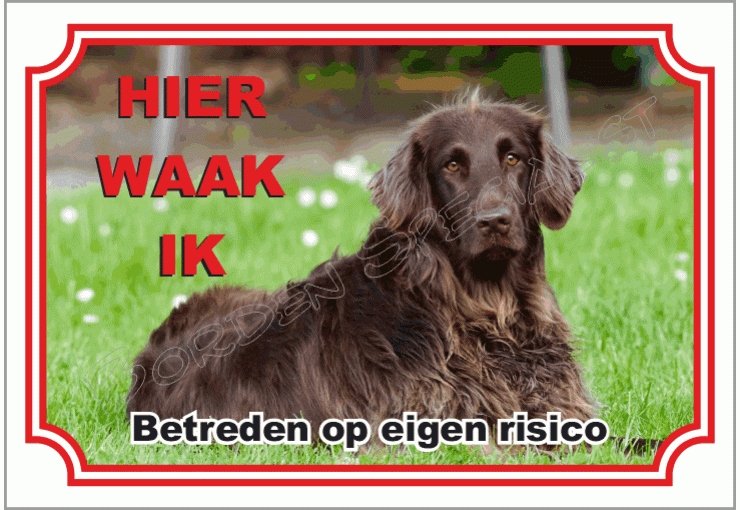 Duitse Staande