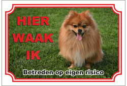 Dwergkees