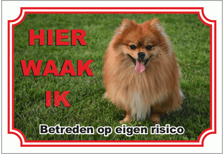 Dwergkees