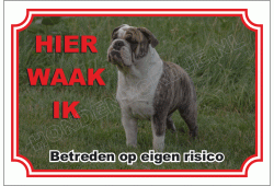 Engelse Bulldog