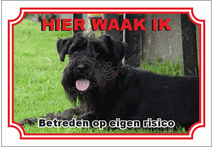 Dwergschnauzer