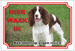 Engelse Springer Spaniel