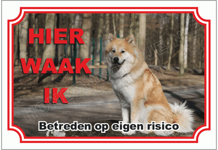 Eurasier
