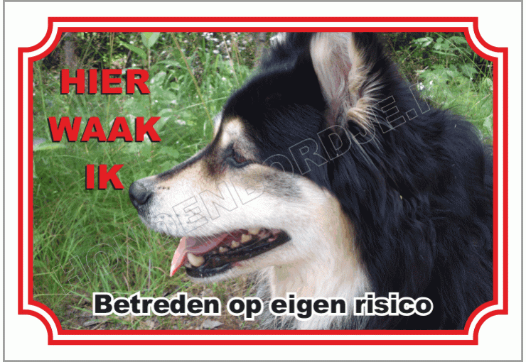 Finse Lappenhond