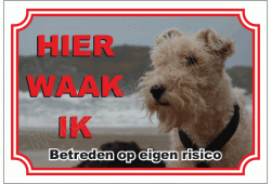 Foxterrier Draadhaar