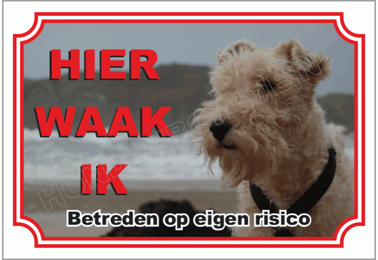 Foxterrier Draadhaar
