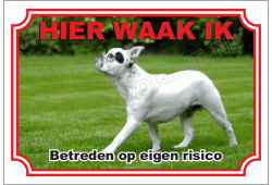 Franse Bulldog
