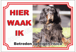 Gordon Setter