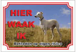 Greyhound