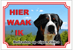 Grote Zwitserse Sennenhond