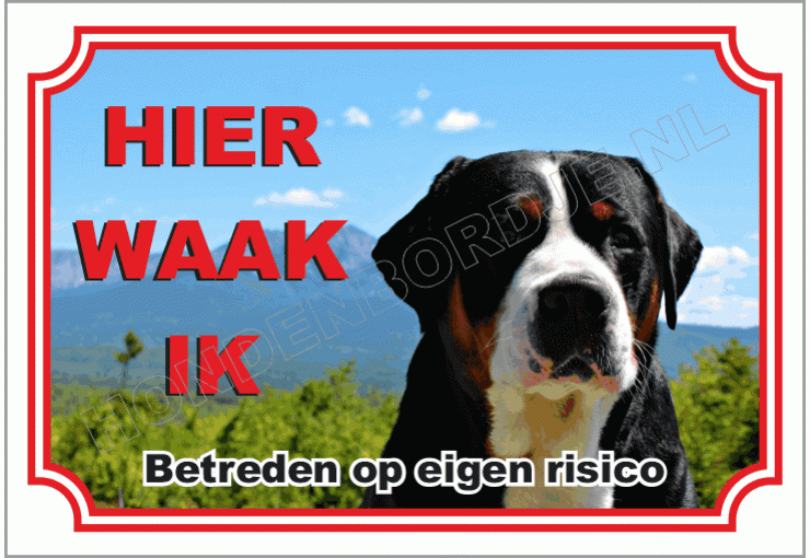 Grote Zwitserse Sennenhond