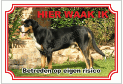 Grote Zwitserse Sennenhond