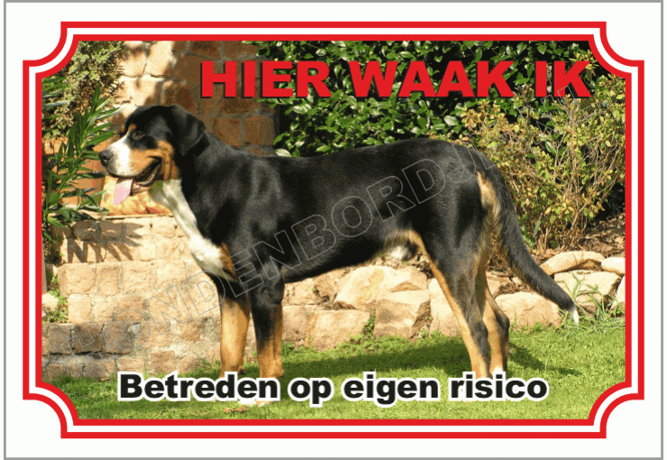 Grote Zwitserse Sennenhond