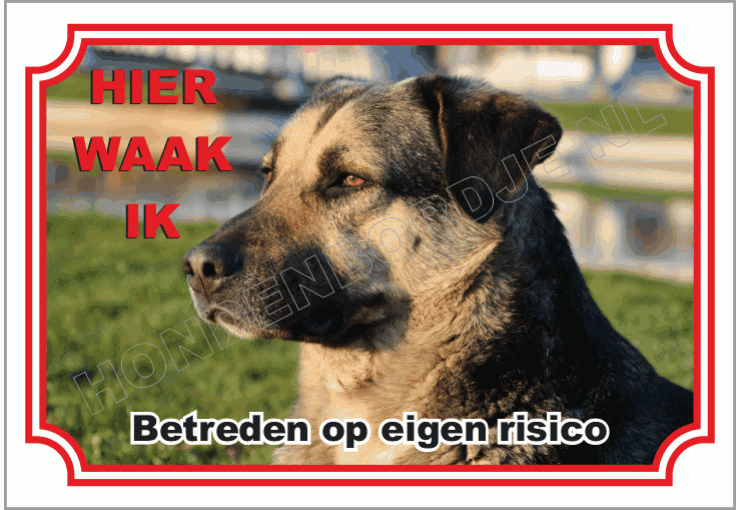 Herder