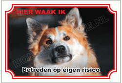 Ijslandse Hond
