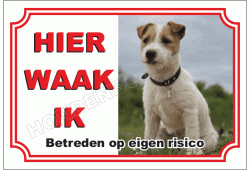 Jack Russell Terrier