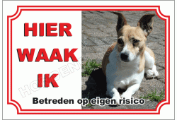 Jack Russell