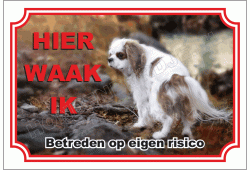 Japanse Spaniel