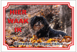 Japanse Spaniel