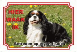 Japanse Spaniel