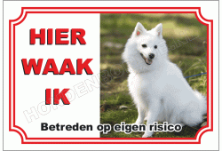 Japanse Spits