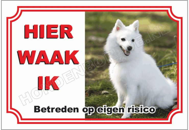 Japanse Spits