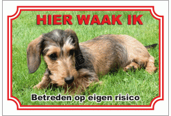 Kaninchen Dashond, Ruwhaar