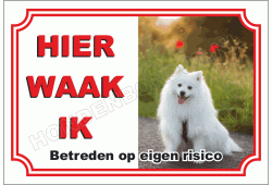 Kleine keeshond _ Pomeriaan