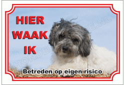 Leeuwhondje