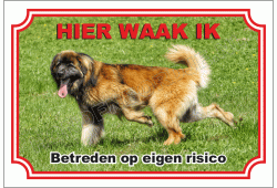 Leonberger