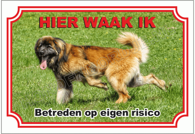 Leonberger