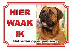 Mastiff