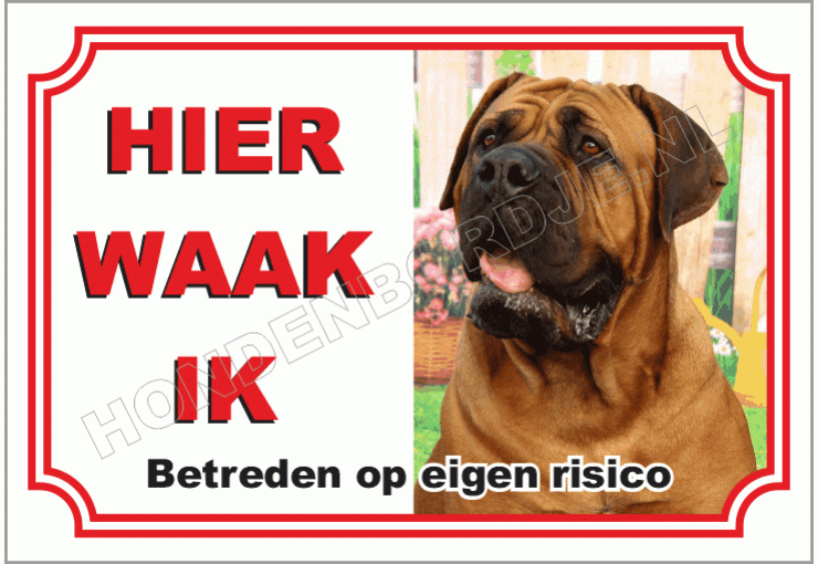 Mastiff
