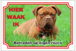 Mastiff