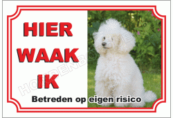 Middenslag Poedel Wit