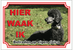 Middenslag Poedel Zwart