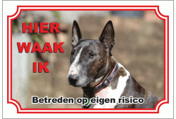 Miniatuur Bull Terrier