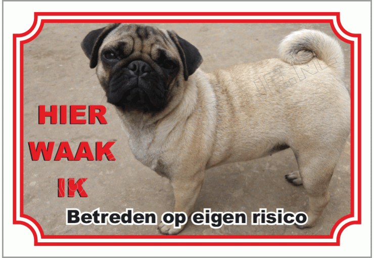 Mops