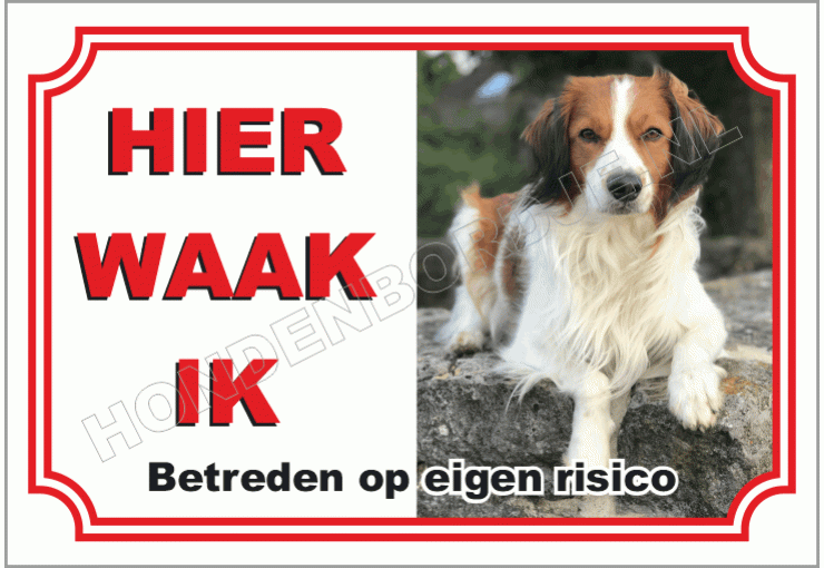 Nederlandse Kooikerhondje