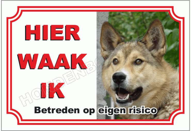 Oostsiberische Laika