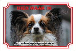 Papillon