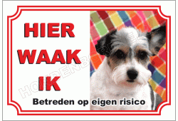 Parson Russell Terrier